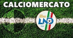 Ancora tanti movimenti nei 9 gironi del campionato. Ufficiale Team Altamura C E Il Si Di Carlos Biason I Am Calcio Bari