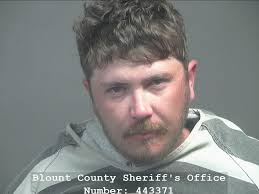 CAREY, MAX KAY Charges: FEDERAL SAFE HOUSING This information and more is  available https://apps.myocv.com/share/a95737804