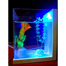 Dinilai, ikan hias lebih mudah untuk dipelihara, karena tidak seribet hewan darat (kucing, anjing dan kelinci) dalam pemeliharaannya. Jual Aquarium Mini Ikan Hias Kota Bekasi Diego Stronge Tokopedia