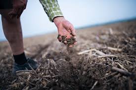 How is regenerative agriculture being used to restore soil health and enhance carbon sequestration?