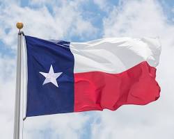 Image of Texas flag