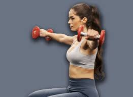 Image result for Shoulder Strength Exercises