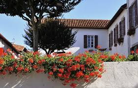 La Bastide Clairence Plants Red Peppercorn Photo