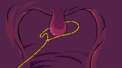 Humphrey (uvula) is an enemy and the bonus phase of the final boss fought by omori and friends for the headspace segments. Hard Act To Swallow Ep 44 Happy Tree Friends Mondo