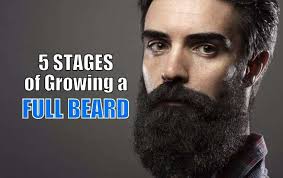 beard growth chart facial hairstyles