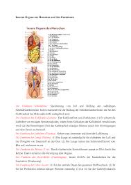Anatomie mensch innere organe frau und mann ansicht korper von. Inneren Organe Des Menschen Und Ihre Funktionen Studocu