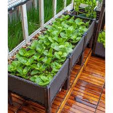 With a little knowledge on how to start an indoor garden, you can make your own diy indoor garden room that can wipe away cold season blues. Plastic Square Raised Garden Bed Kit For Indoor Outdoor Planter Grow Box And Drainage Plug For Fresh Vegetables Herbs Flowers Succulents Brown Customizable 3 Piece Combo Walmart Com Walmart Com