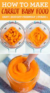 How To Make Carrot Baby Food Recipe Baby Food Recipes Food Easy Baby Food Recipes