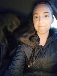 Pig training tips for sitting