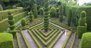 English Garden Topiary In Formal Garden Botanical Garden Funchal Madeira Portugal Europe Photog Mit Bildern Buchsbaum Garten Formschnitt Garten Gartendesign Ideen