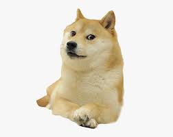 Find the best doge meme wallpaper on getwallpapers. Doge Meme White Background Hd Png Download Kindpng