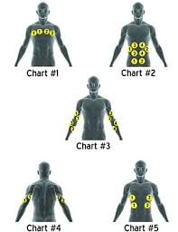 Stimrx Electronic Muscle Stimulation Ems Pad Placement