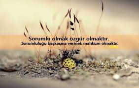 Sorumluluk Ile Ilgili Sozler Guzel Soz Ozlu Sozler Alinti Sozler