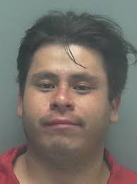 Lee County Arrests 10/20