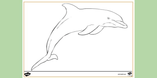 We did not find results for: Free Dolphin Colouring Page To Print Colouring Sheets