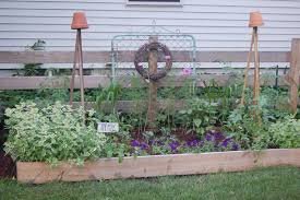 Vegetables Plants Garden Green Thumb