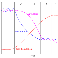 Demographic Transition Model