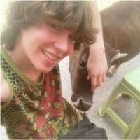 20+ "Hallenburg" profiles