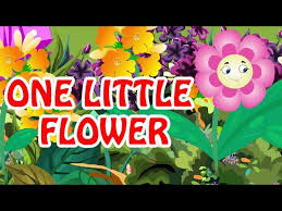 One Little Flower Nursery English Rhyme Youtube