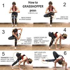When Practicing More Advanced Postures It S Important To Note That Just Doing The Steps Leading Up To Th Yoga Poses Advanced Basic Yoga Poses Grasshopper Pose