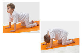 As cat cow pose is a beginner's level pose, it is a must to practice this. Cat Cow Pose From 12 Yoga Poses You Can Do With Your Kids The Active Times