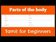 Body parts in tamil language. 9 Tamil Language Ideas Tamil Language Language English Legends