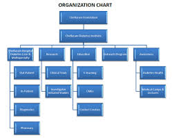 Organization Chart Chellaram Hospital