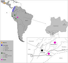 These are the easiest and the most popular border crossings. Plos Neglected Tropical Diseases Genome Wide Diversity And Differentiation In New World Populations Of The Human Malaria Parasite Plasmodium Vivax