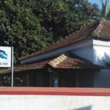 Starco Booze Food Shelter Anjuna Goa Restaurants Justdial