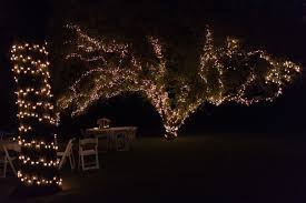 Enchanted Forest Wedding Farm Wedding Decorations Rustic Twinkle Lights Lights Tree Shine Spa Enchanted Forest Wedding Enchanted Wedding Forest Wedding
