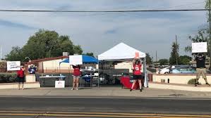 Idea Members Safely Collect Investined Petition Signatures In 2020 Arizona Education Education Arizona
