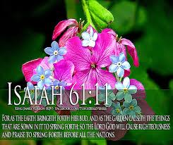 Check spelling or type a new query. Best Free Hd Wallpaper Spring Wallpaper With Bible Verses