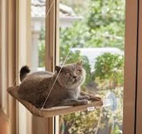The Lookout Deluxe Window Cat Bed