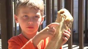 Shelly Borden's Instagram, Twitter & Facebook