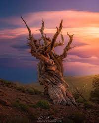 Majestic Nature And Landscape Photography By Greg Boratyn Beautiful Photography Nature Landscape Photography Landscape Pictures