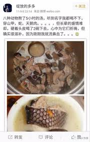 But their very survival is under threat. Chinese Police Go After Pangolin Princess Who Proudly Eats Endangered Species
