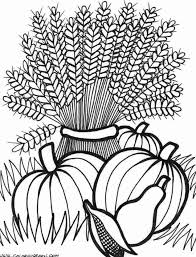 Coloring Pages Fall Harvest For Kids In 2020 Thanksgiving Coloring Pages Free Thanksgiving Coloring Pages Fall Coloring Pages