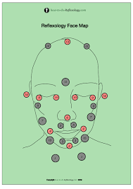 Face Reflexology Chart With Instructions
