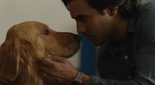 The Art Of Racing In The Rain Trailer Kevin Costner Is A Talking Dog Indiewire