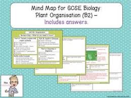 Structures in a plant cell visible under a light microscope and an electron microscope. Gcse Biology B2 Organisation Revision Bundle Part 1 Gcse Biology Revision Biology Revision Biology