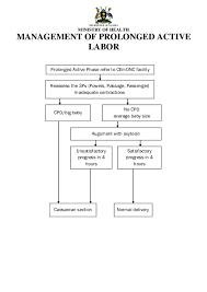 Image result for Active Management of Labor