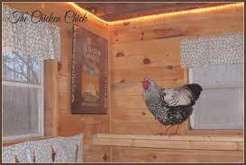 We built two icebox chicken coops with city slicker farms in west oakland, california. 6 Ways To Make Your Chicken Coop Merry And Bright The Chicken Chick