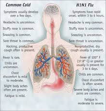 pin on h1n1 flu caution