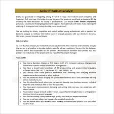 11 Business Analyst Job Description Templates Free Sample Example Format Download Free Premium Templates