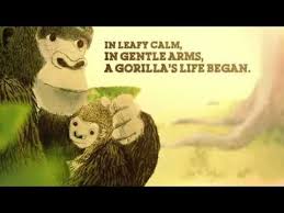 This is a quick book summary and analysis of the one and only ivan by katherine applegate. Kid Lit Review Of Ivan The Remarkable True Story Of The Shopping Mall Gorilla By Katherine Applegate Rhapsody In Books Weblog