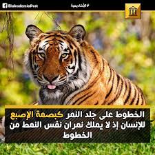 أحياء عالم الحيوان الخطوط على جلد النمر كبصمة الإصبع للإنسان إذ لا يملك نمران نفس النمط من الخطوط الأكاديمية animals