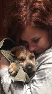 BENCH GENO NOW !!!! And WHY IS HE STILL IN THERE ??? HE SUCKS !!!!!!