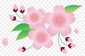 Check spelling or type a new query. Big Image Clip Art Flowers Sakura Png Download 19794 Pikpng