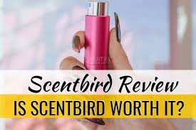My Honest Scentbird Review Is Scentbird Worth It Special 30 Off In simple words, scentbird is an angel in disguise. is scentbird worth it
