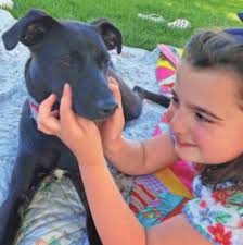 Massachusetts Cannabis Control Commission